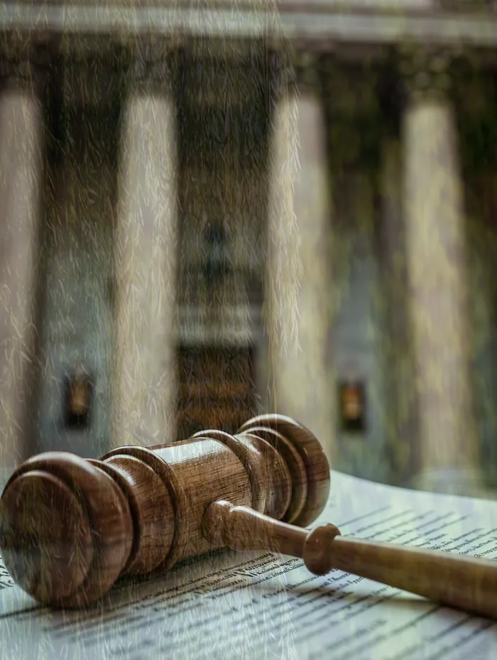 개인회생 중지명령